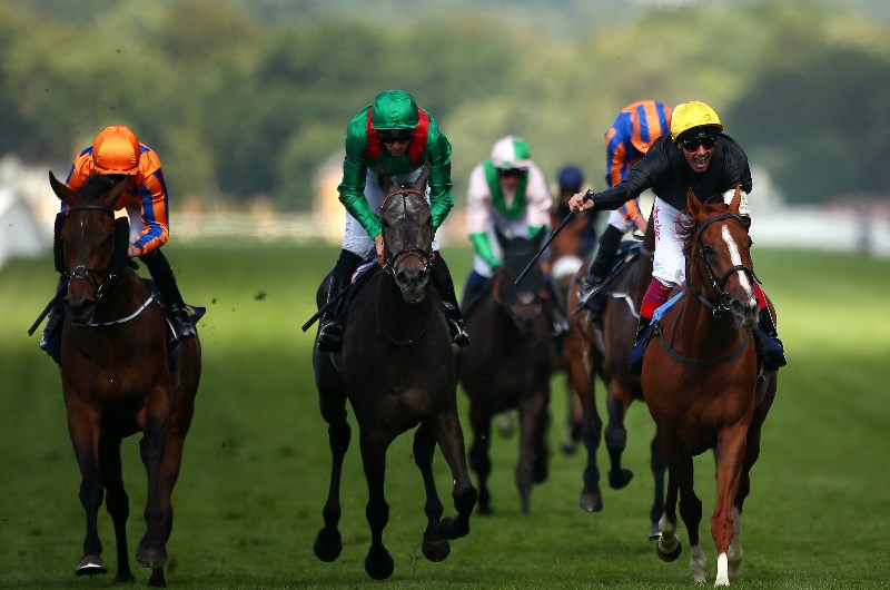 Goodwood Cup Tips & Betting Predictions